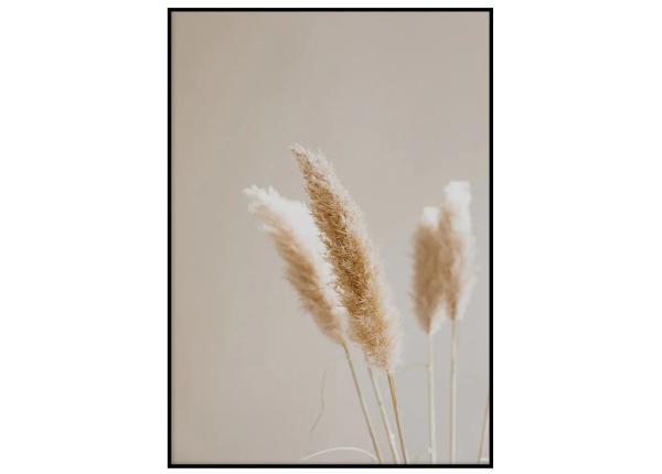 Seinäjuliste Kaislat II