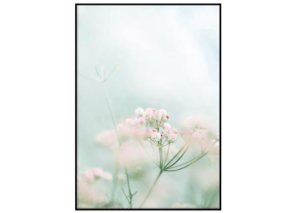 Seinäjuliste Kevätkukat