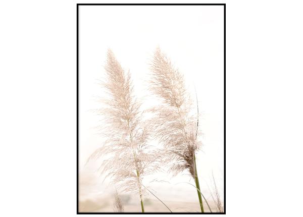 Seinäjuliste Pampas lehdet