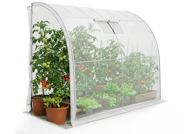 Seinakasvuhoone 2 m²