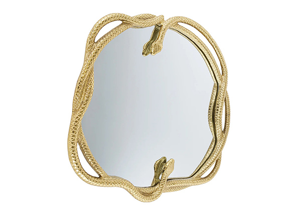 Seinapeegel Snake