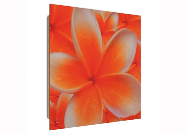 Seinapilt Frangipani flower 1 3D 30x30 cm