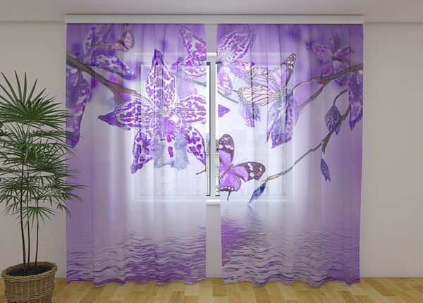 Šifoon-fotokardin Violet Orchid 240x220 cm
