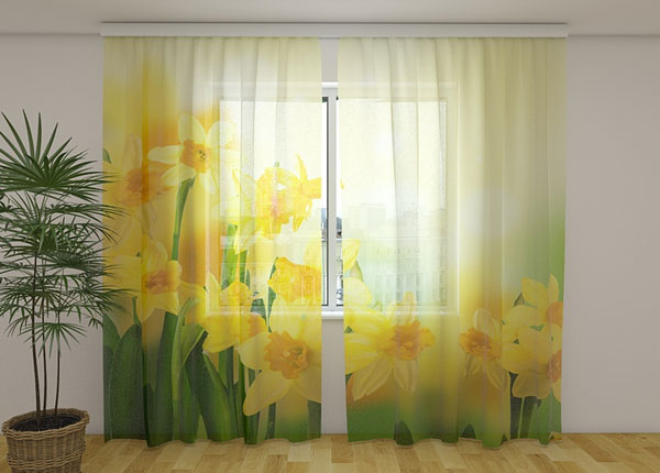 Šifoon-fotokardin Yellow daffodils 2, 240x220 cm