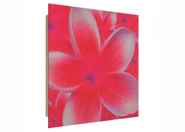 Taulu Frangipani flower 2 3D 30x30 cm