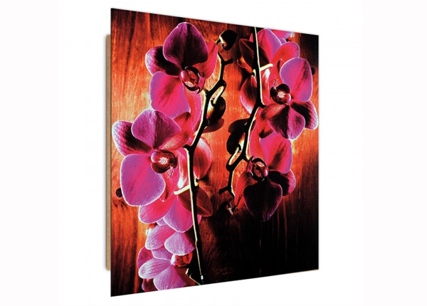 Taulu Pink Orchids 3D 30x30 cm