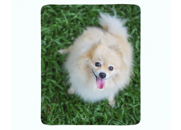 Torkkupeitto Happy Pomeranian Dog