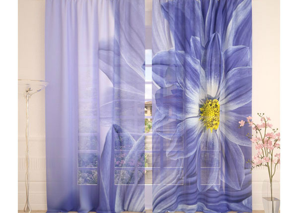 Tüllkardin Blue Flowers 400x260 cm