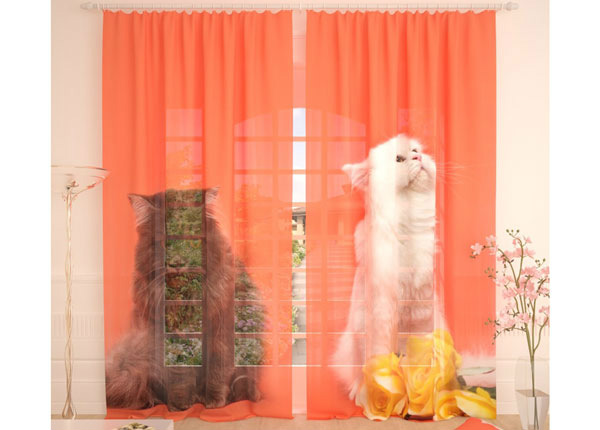 Tüllkardin Cats 400x260 cm