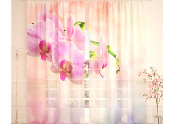 Tüllkardin Pink Orchid 400x260 cm