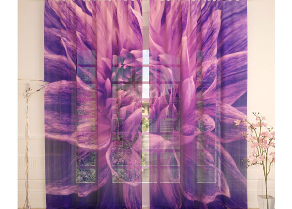 Tüllkardin Purple Flower 400x260 cm