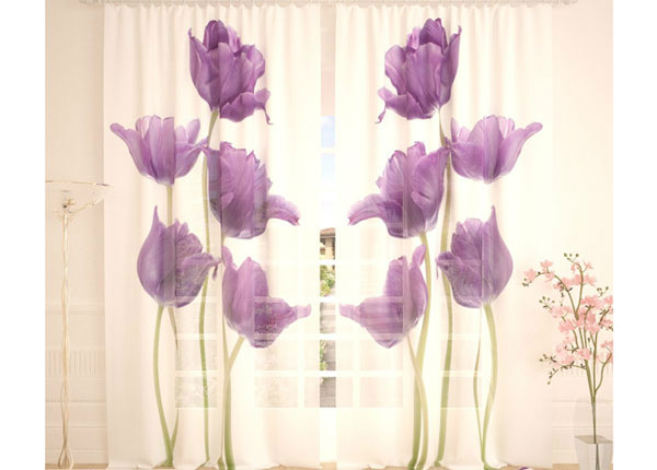 Tüllkardin Purple Tulips 400x260 cm