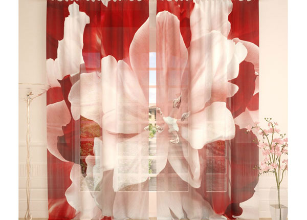 Tüllkardin Red White Tulip 400x260 cm
