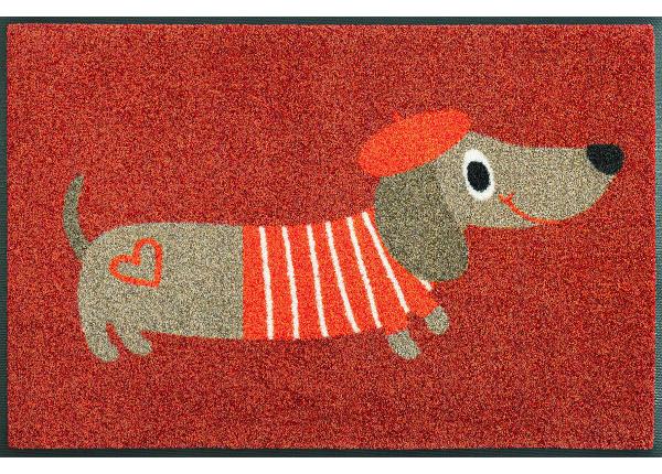 Uksematt Monsieur Chien 50x75 cm