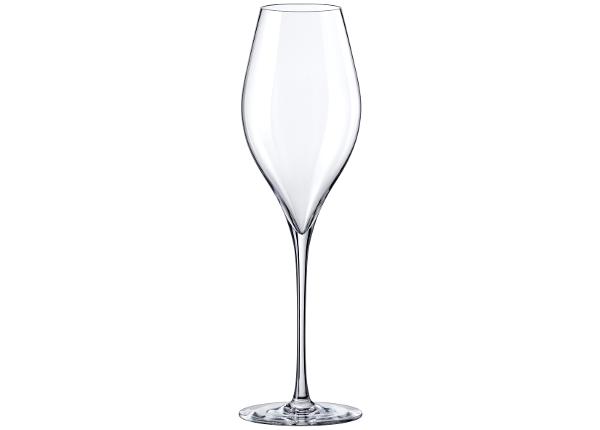 Vahuveiniklaas Swan 32 cl, 6 tk