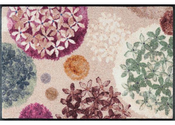 Vaip Hydra Haze 50x75 cm