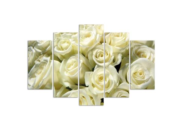 Viieosaline seinapilt White Roses