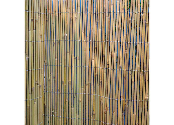 Бамбуковый забор в рулоне 1х5 м