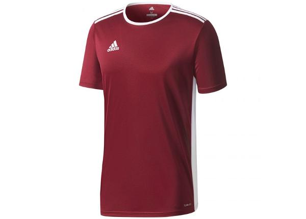 Детская футболка adidas ENTRADA 18 Jr CD8430 размер 152 см