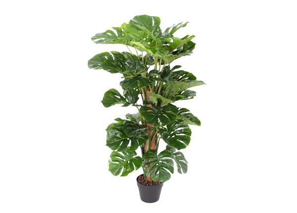 Искусственное дерево Monstera 105 см