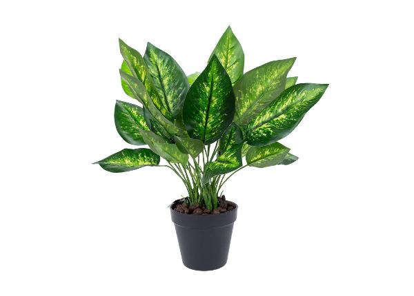 Искусственное растение Dieffenbachia 45 см