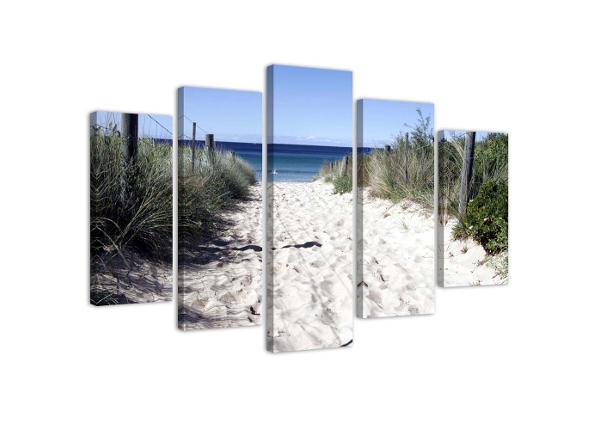 Картина из 5-частей Path Through the Dunes 100x70 см
