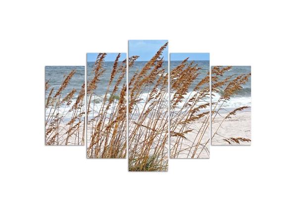 Картина из 5-частей Reeds by the Sea 100x70 см