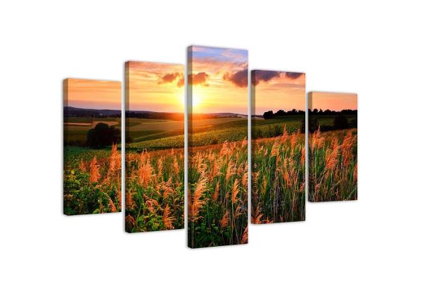 Картина из 5-частей Sunset Over the Meadow 100x70 см