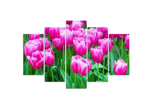 Картина из 5-частей White and Red Tulips 100x70 см