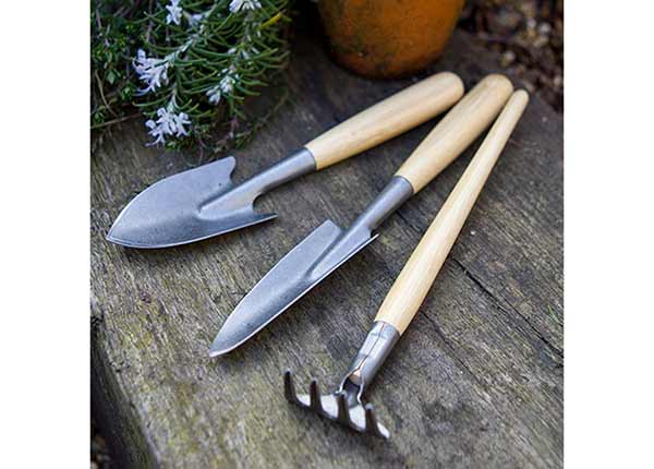 Мини-садовые инструменты Bamboo Darlac