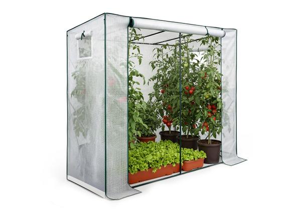 Мини-теплица 80x200 см