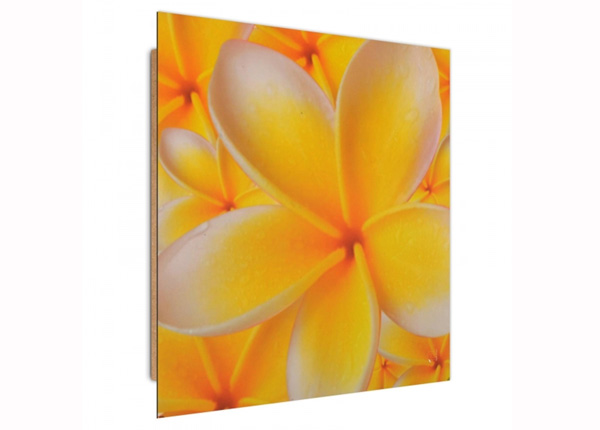 Настенная картина Frangipani flower 3D 30x30 см