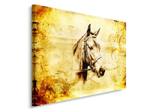 Настенная картина Horse head 30x40 см
