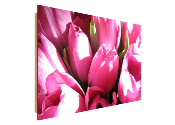 Настенная картина Pink tulips 30x40 см