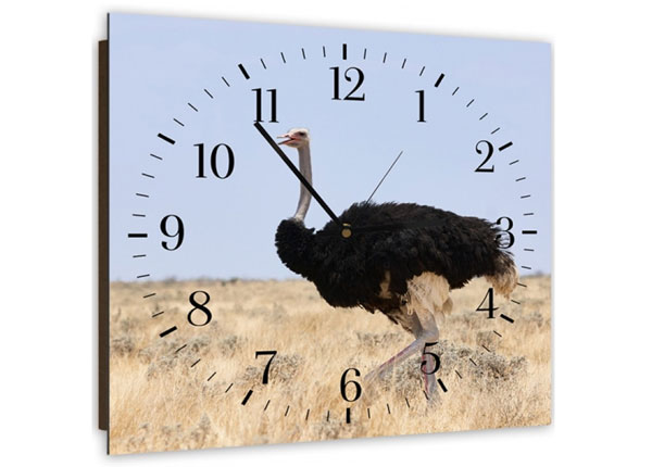 Настенные часы с картиной Ostrich 1