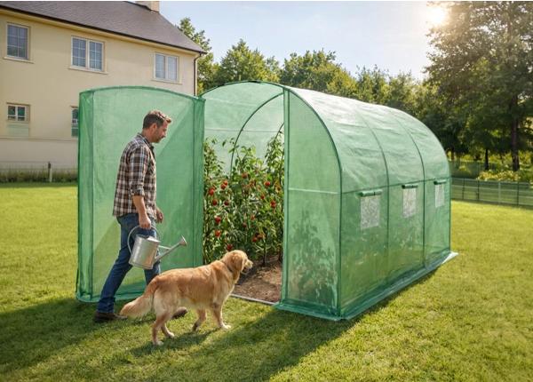 Плёночная теплица 6 м²