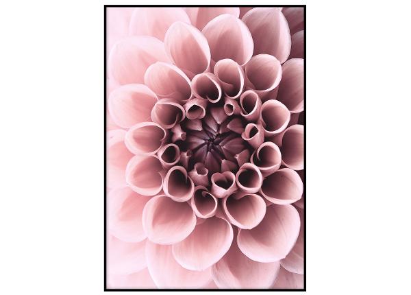 Постер Dahlia 21x30 см