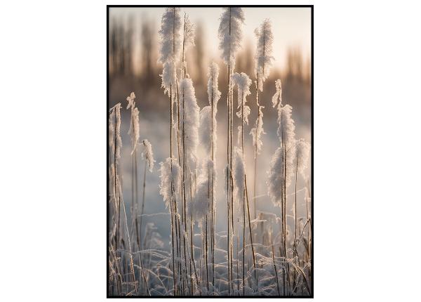 Постер Снежные тростники II 21x30 см