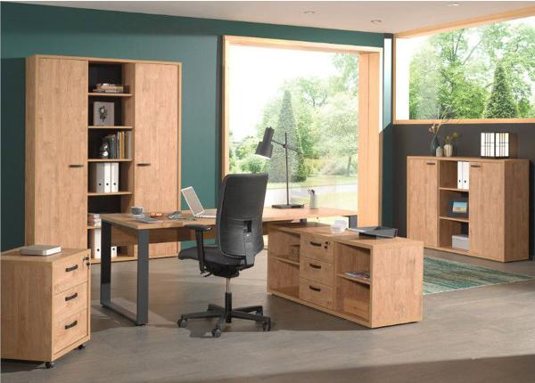 Рабочий стол Capo