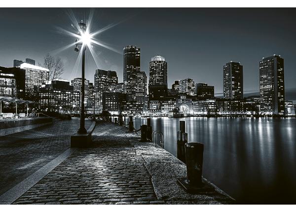 Самоклеящиеся фотообои Boston