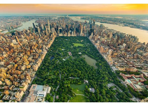 Самоклеящиеся фотообои New York Central Park