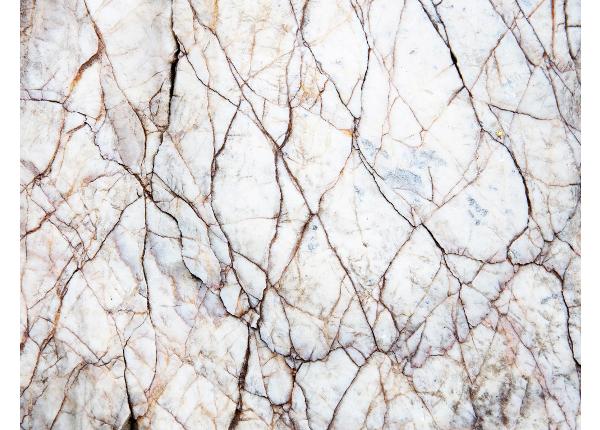 Самоклеящиеся фотообои White Marble Texture