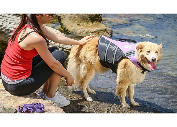 Спасательный жилет для собаки, размер XS