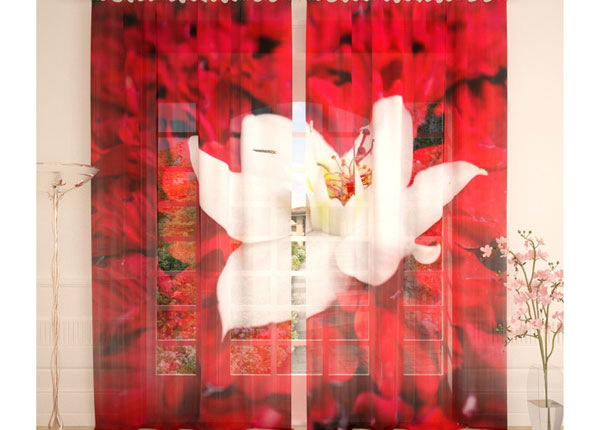 Тюлевые занавески White Flower on Red 400x260 cm