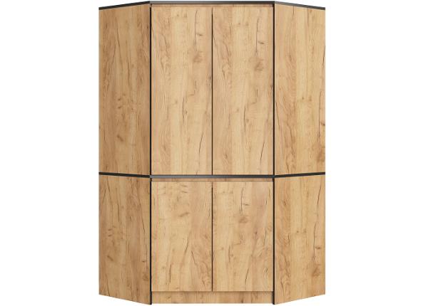 Угловой шкаф S100