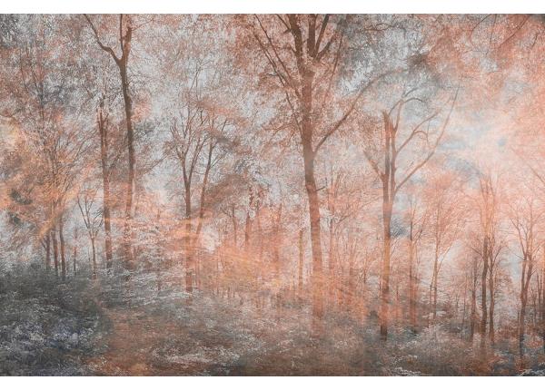 Флизелиновые фотообои Colorful Forest Abstract 150x250 см