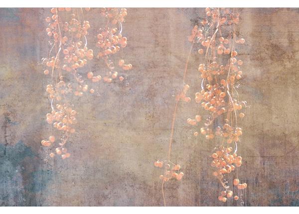 Флизелиновые фотообои Currant Abstract 150x250 см