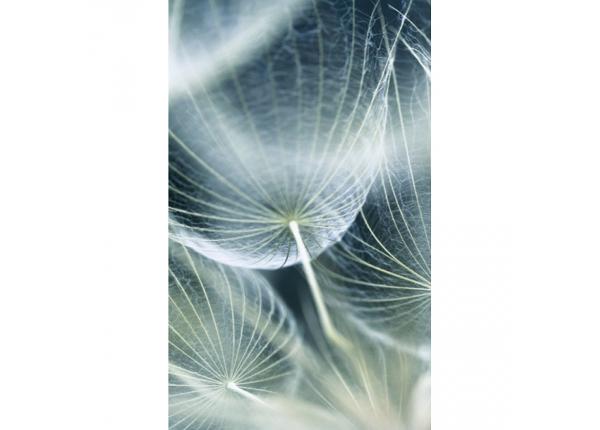 Флизелиновые фотообои Dandelion macro 150x250 см