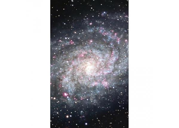 Флизелиновые фотообои Galaxy 150x250 см