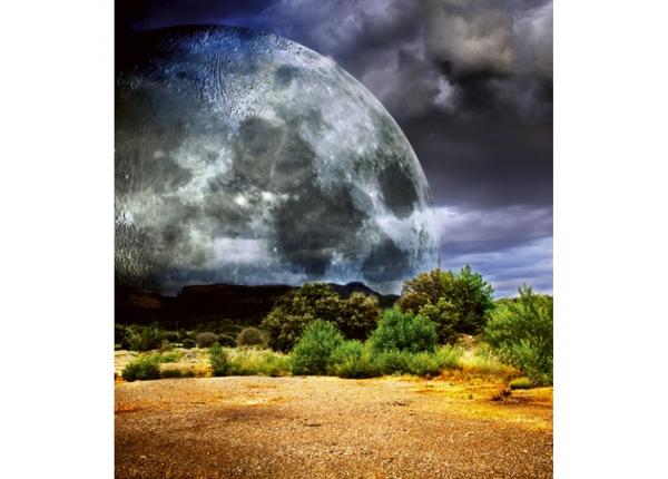 Флизелиновые фотообои Moon 225x250 см